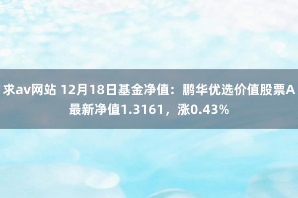 求av网站 12月18日基金净值：鹏华优选价值股票A最新净值1.3161，涨0.43%