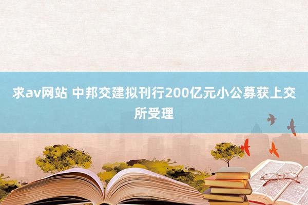 求av网站 中邦交建拟刊行200亿元小公募获上交所受理