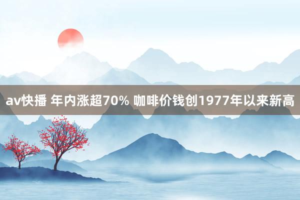 av快播 年内涨超70% 咖啡价钱创1977年以来新高