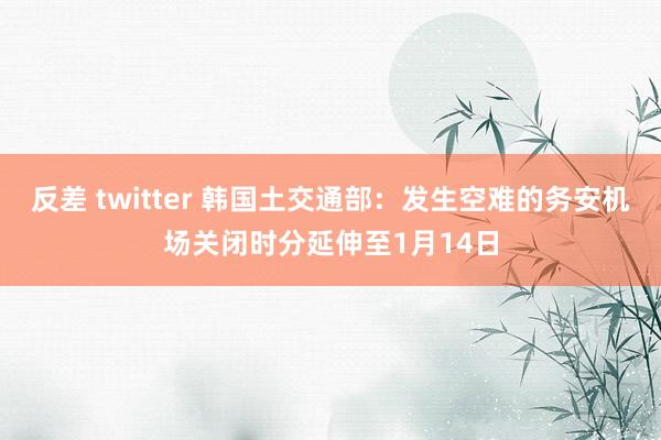 反差 twitter 韩国土交通部：发生空难的务安机场关闭时分延伸至1月14日