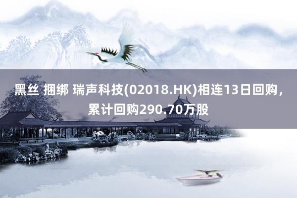 黑丝 捆绑 瑞声科技(02018.HK)相连13日回购，累计回购290.70万股