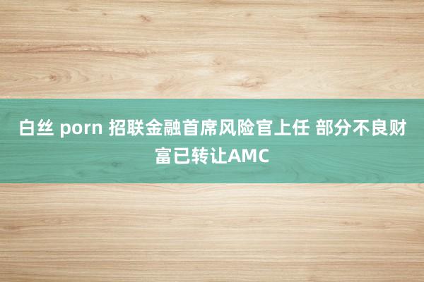 白丝 porn 招联金融首席风险官上任 部分不良财富已转让AMC