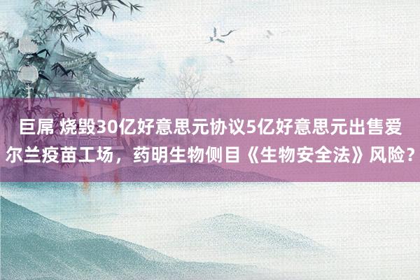 巨屌 烧毁30亿好意思元协议5亿好意思元出售爱尔兰疫苗工场，药明生物侧目《生物安全法》风险？