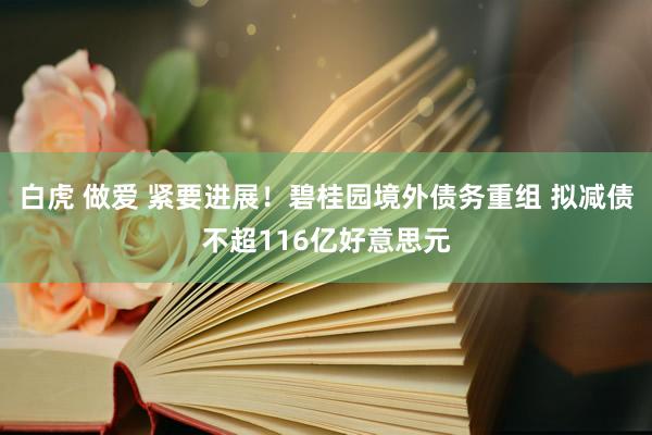 白虎 做爱 紧要进展！碧桂园境外债务重组 拟减债不超116亿好意思元