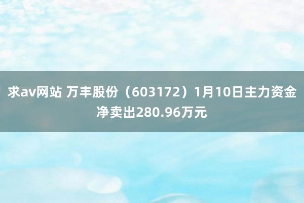 求av网站 万丰股份（603172）1月10日主力资金净卖出280.96万元