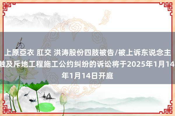 上原亞衣 肛交 洪涛股份四肢被告/被上诉东说念主的1起触及斥地工程施工公约纠纷的诉讼将于2025年1月14日开庭