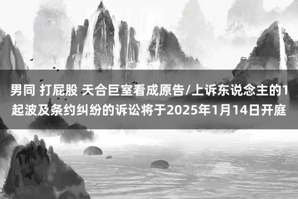 男同 打屁股 天合巨室看成原告/上诉东说念主的1起波及条约纠纷的诉讼将于2025年1月14日开庭