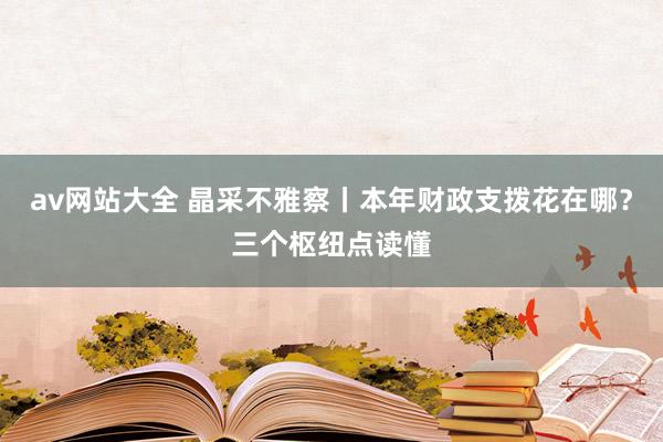 av网站大全 晶采不雅察丨本年财政支拨花在哪？三个枢纽点读懂