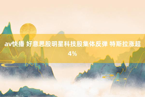 av快播 好意思股明星科技股集体反弹 特斯拉涨超4%