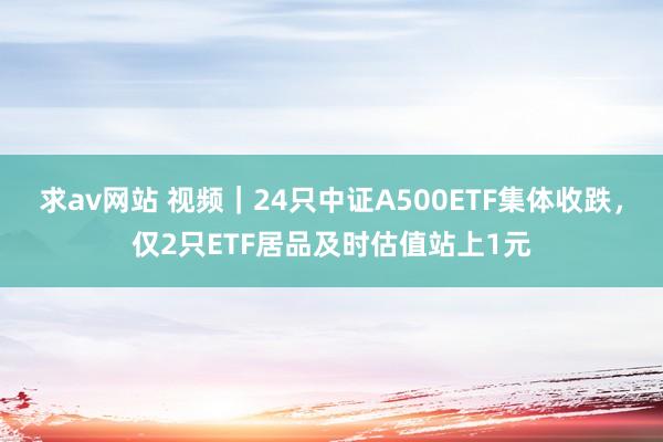 求av网站 视频｜24只中证A500ETF集体收跌，仅2只ETF居品及时估值站上1元