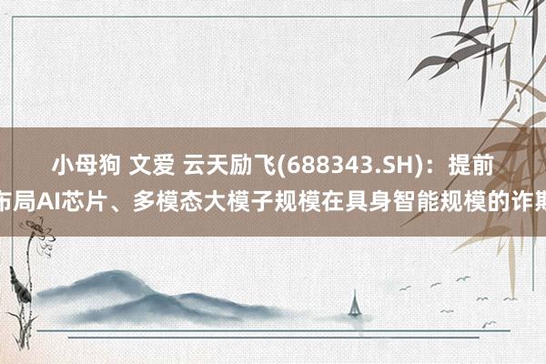 小母狗 文爱 云天励飞(688343.SH)：提前布局AI芯片、多模态大模子规模在具身智能规模的诈欺