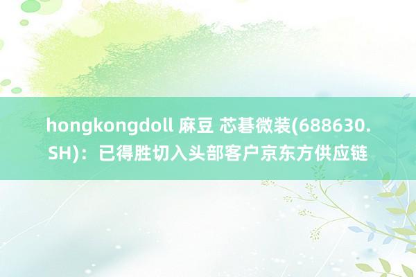 hongkongdoll 麻豆 芯碁微装(688630.SH)：已得胜切入头部客户京东方供应链