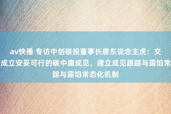 av快播 专访中创碳投董事长唐东说念主虎：交易银行要成立安妥可行的碳中庸成见，建立成见跟踪与露馅常态化机制