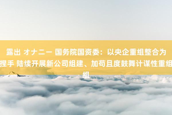 露出 オナニー 国务院国资委：以央企重组整合为捏手 陆续开展新公司组建、加苟且度鼓舞计谋性重组